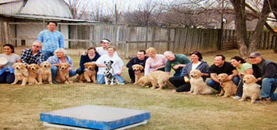 charms golden retrievers puppy class