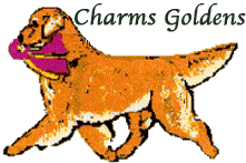 Golden Retriever Breeders Maryland, Golden Retriever Puppies Maryland, Golden Retriever Stud Dogs Maryland, Charms Golden Retrievers,  charms logo